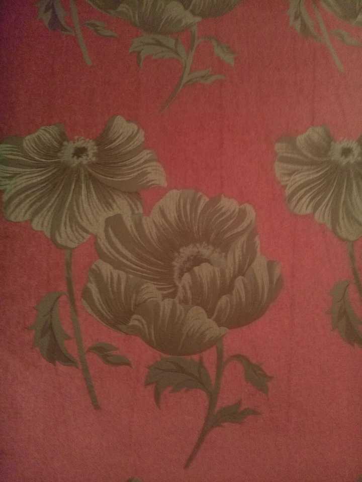 用布帘代替壁纸是否可行 实际使用中有哪些注意事项 知乎