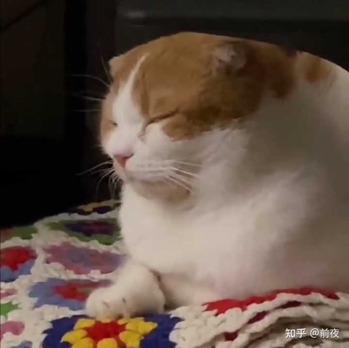 如何评价丁辉人这次solo主打歌 Water Color 知乎 如何评价丁辉人这次solo主打歌 Water Color 知乎