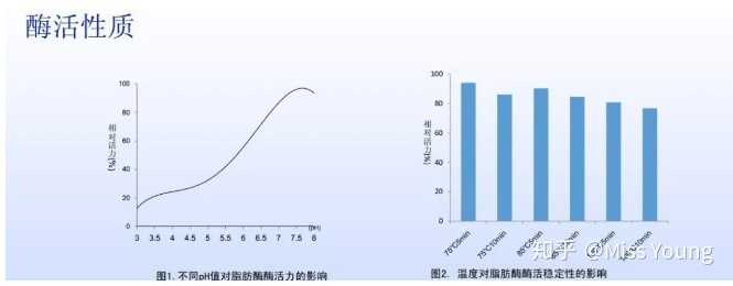 酵素是否有效 知乎