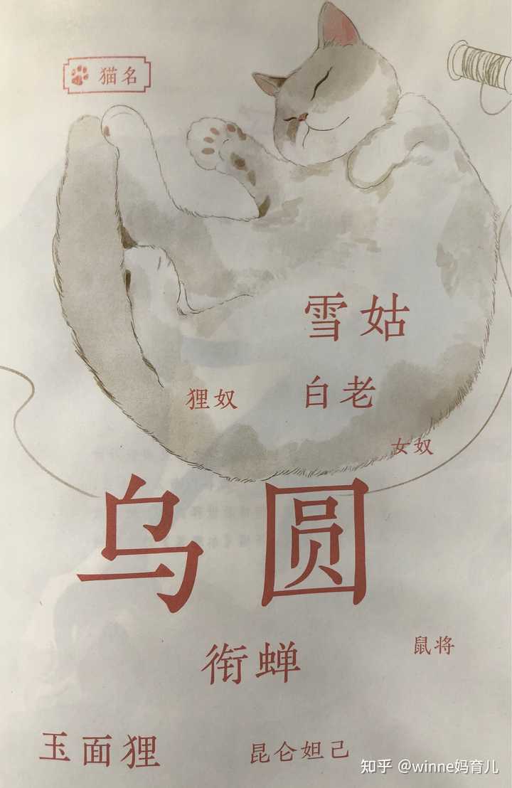 古代人养猫铲屎吗 知乎 古代人养猫铲屎吗 知乎