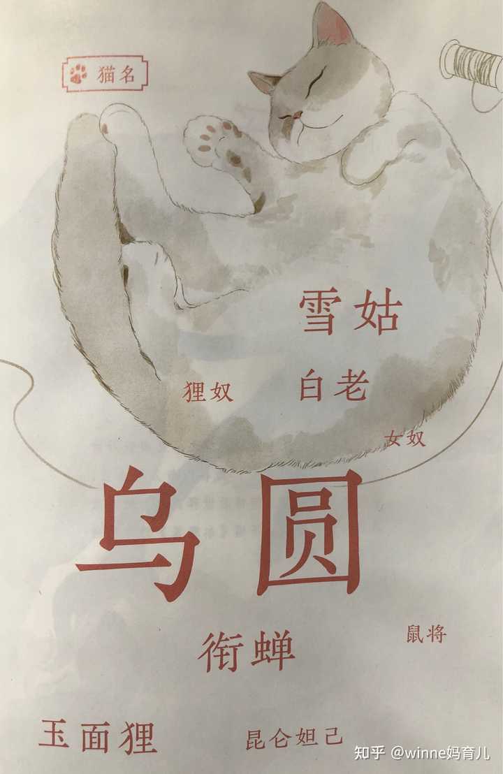 古代人养猫铲屎吗 知乎