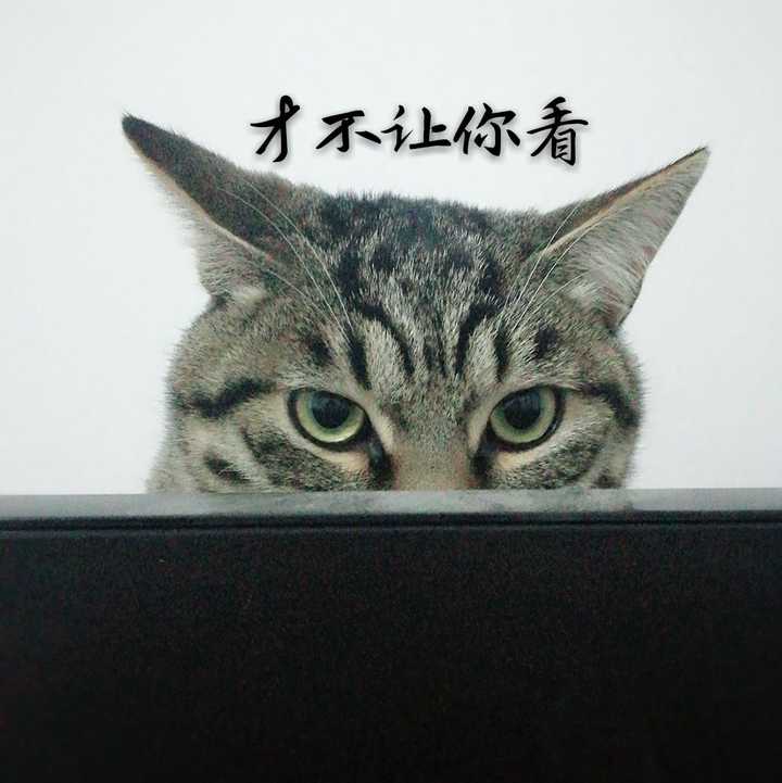 有哪些好看的情侣头像?