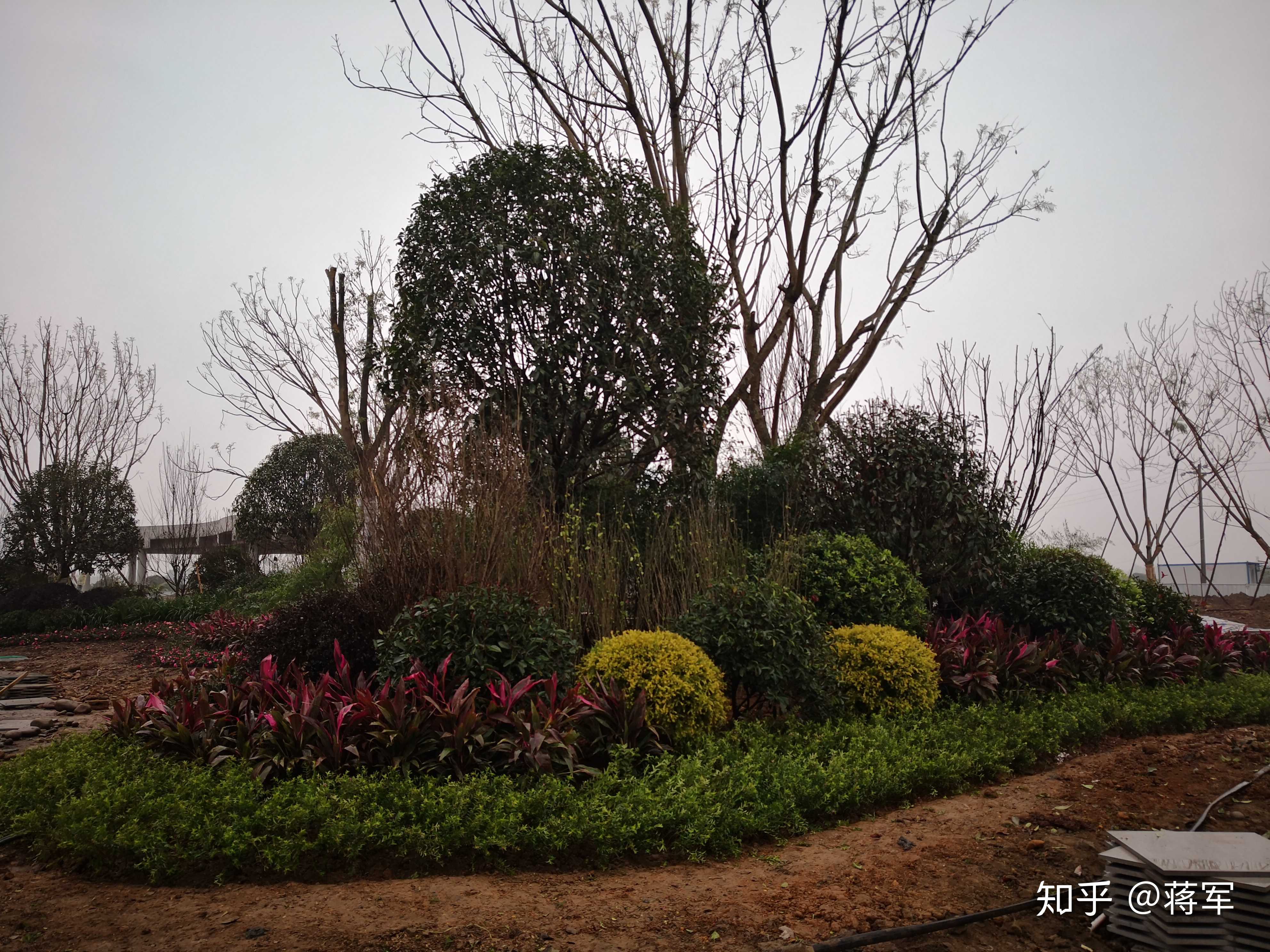 市政广场,组团景观重点打造部分.