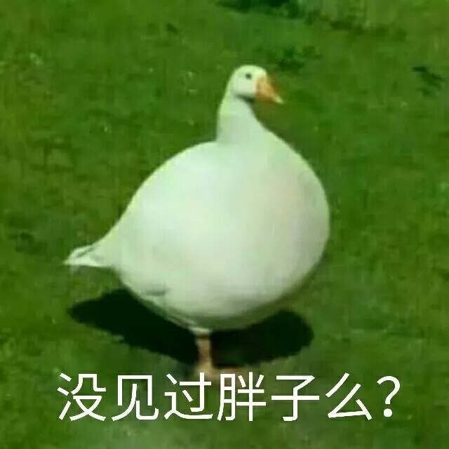 有什么可爱的文案?