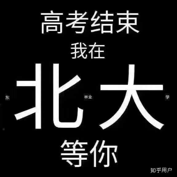 东北林业大学排名_东北有哪些林业大学_林业东北排名大学有哪些