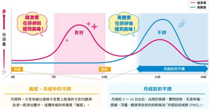 坚持锻炼的女性在生理期应该怎样运动 知乎