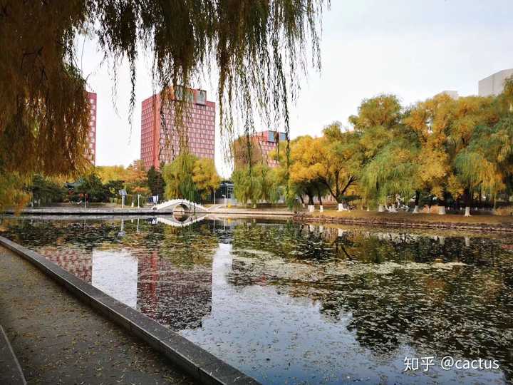 在东北师范大学就读是什么体验?