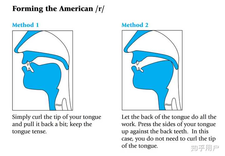 学英语 对舌头的灵活性要求高吗 知乎