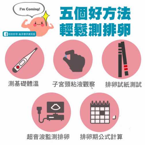 怎么算排卵期最准 知乎 怎么算排卵期最准 知乎