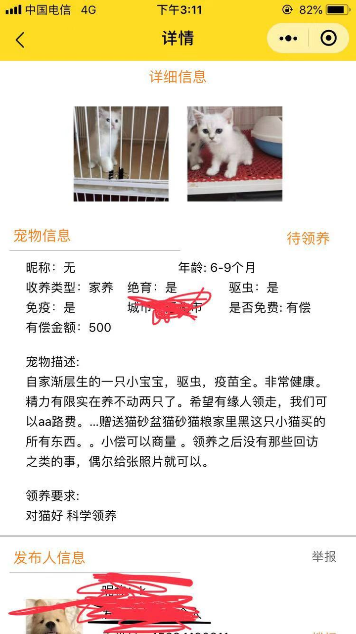 1万元左右有可能买到漂亮甜美的布偶猫吗 知乎