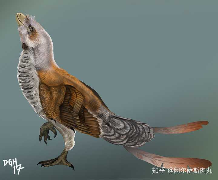 为什么大众仍然不接受鸟类源于恐龙?