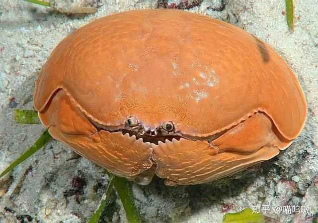 男方很优秀,对方父母很认可.女方父母反对的爱情,该怎么办?