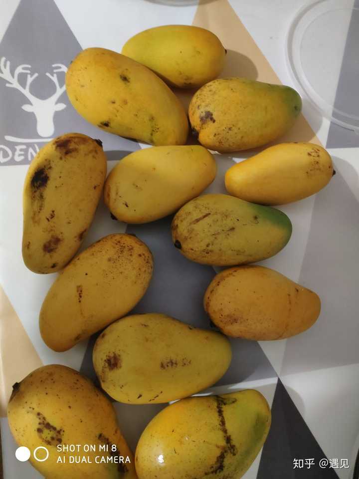 上图,请忽略我的牙印,挑了个黑斑最多切开,果肉一点没有坏, 作为一个