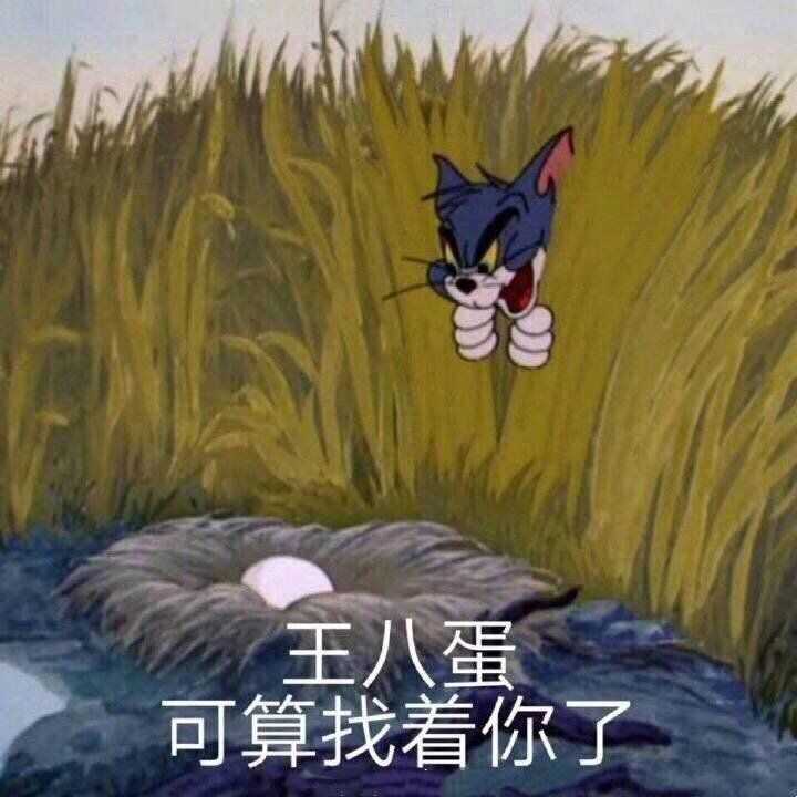 有没有让人笑到头掉的沙雕文案?