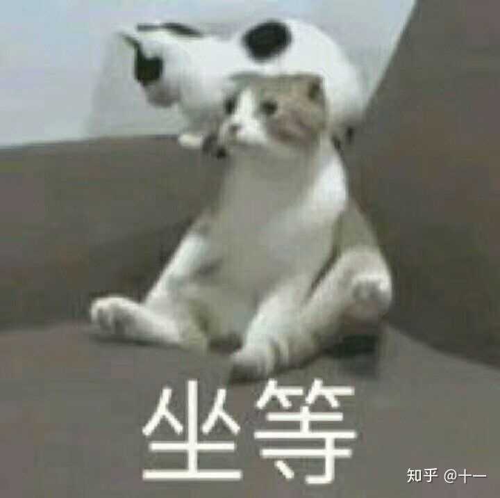 有哪些让“沙雕之魂”熊熊燃烧的朋友圈文案?