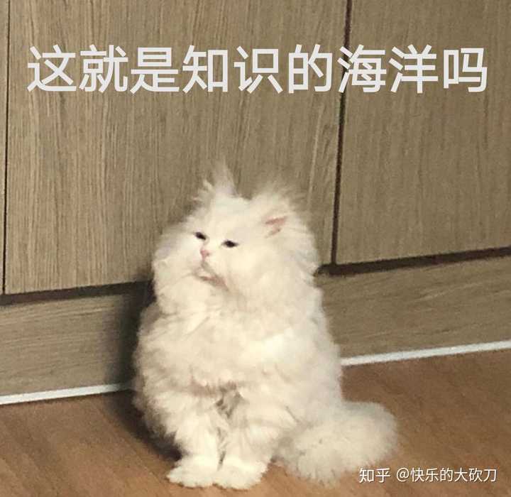 光说不练,你学废了吗?