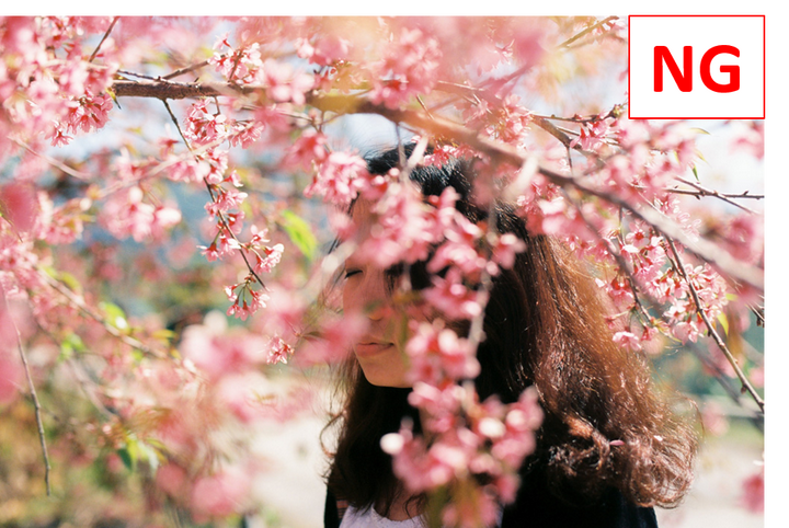 日本樱花季拍照有任何穿搭 地点推荐以及任何tips分享吗 知乎