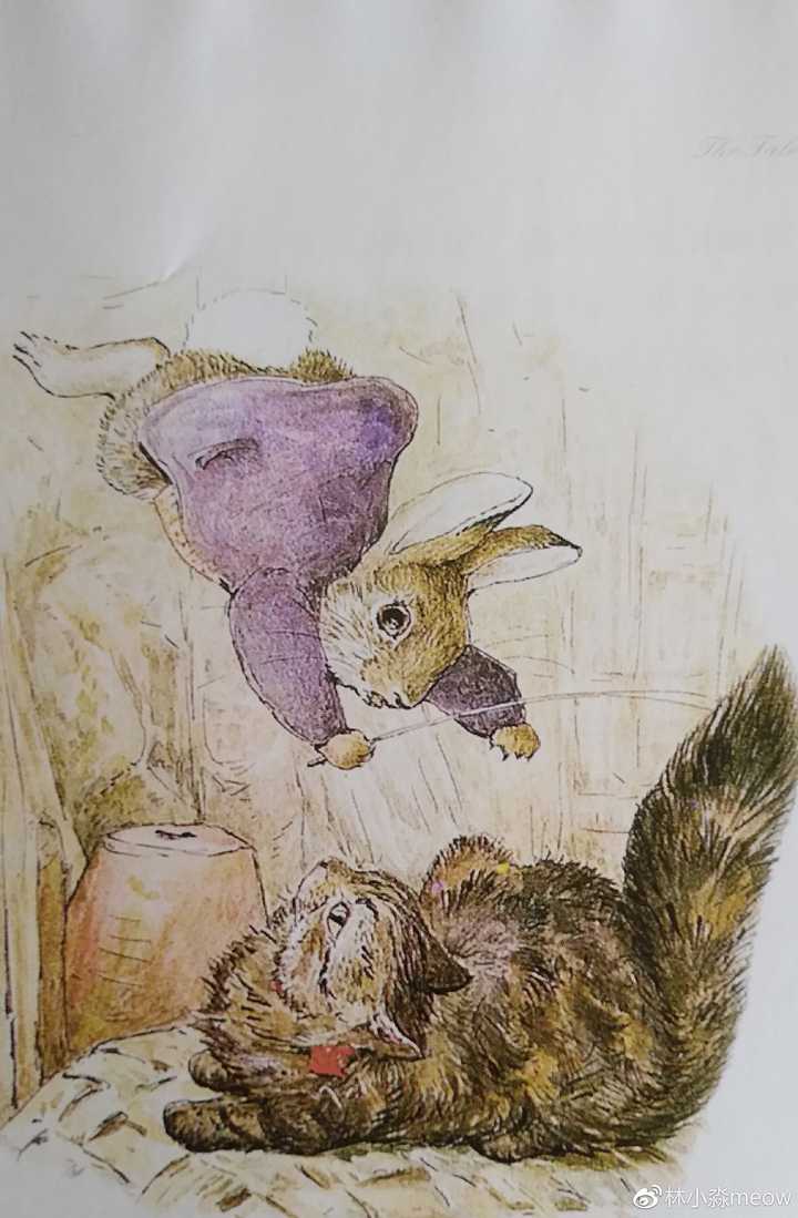 如何评价电影《比得兔》?