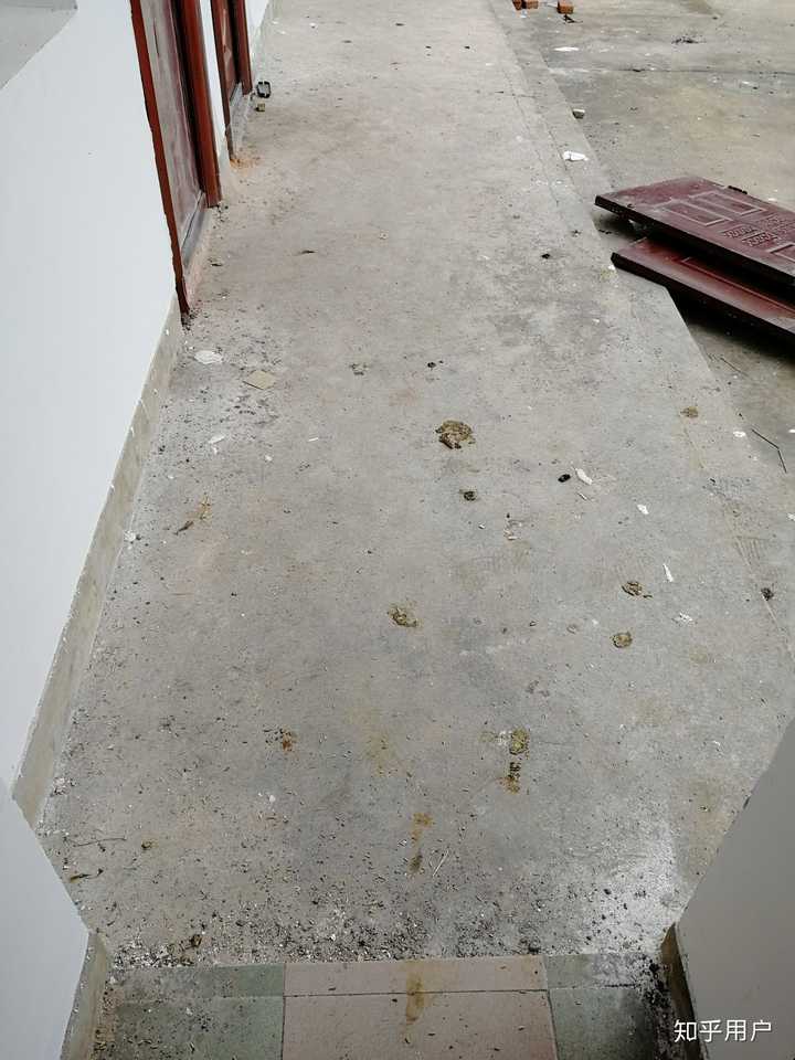 满地的鸡屎,昨天还清理过.
