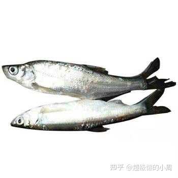 怎样区分青鱼 鳙鱼 草鱼 鲢鱼 鲤鱼 鲫鱼 鲳鱼 河鲀 鳝鱼 比目鱼 石斑鱼 黄鱼 鳕鱼 多宝鱼等 超级懒的小周的回答