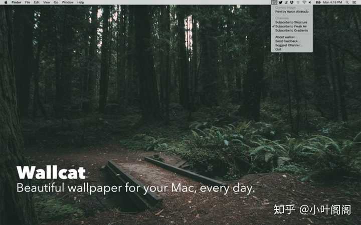 Mac有哪些好用的桌面壁纸软件 知乎 Mac有哪些好用的桌面壁纸软件 知乎