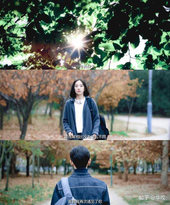 图片[6] - 橘生淮南,暗恋网盘资源【1080P无删减】完整中字资源已完结 - 影视资源论坛 - 文件资源 - 小轻秀场