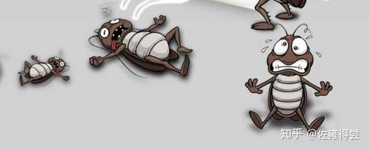 第二害怕看到蟑螂尸体