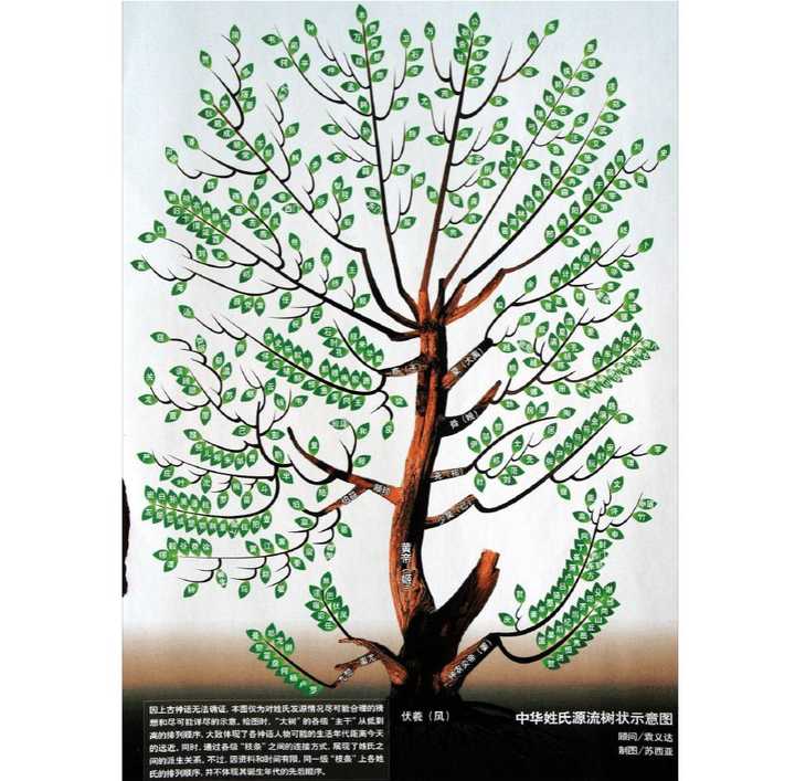 为什么很多姓都源自于古代姬姓 知乎