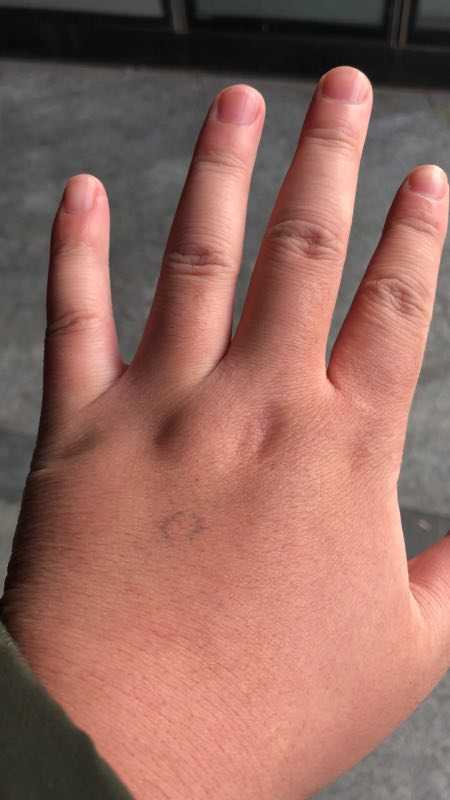 3-胖 (可逆转,但.) 就放个手让大家感受感受