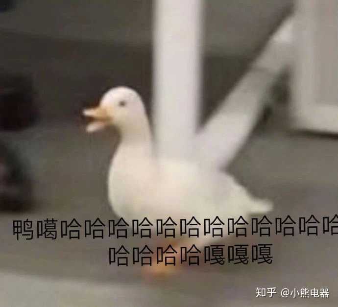 家用的手持搅拌棒如何挑选 应该关注哪些指标 知乎 家用的手持搅拌棒如何挑选 应该关注哪些指标 知乎