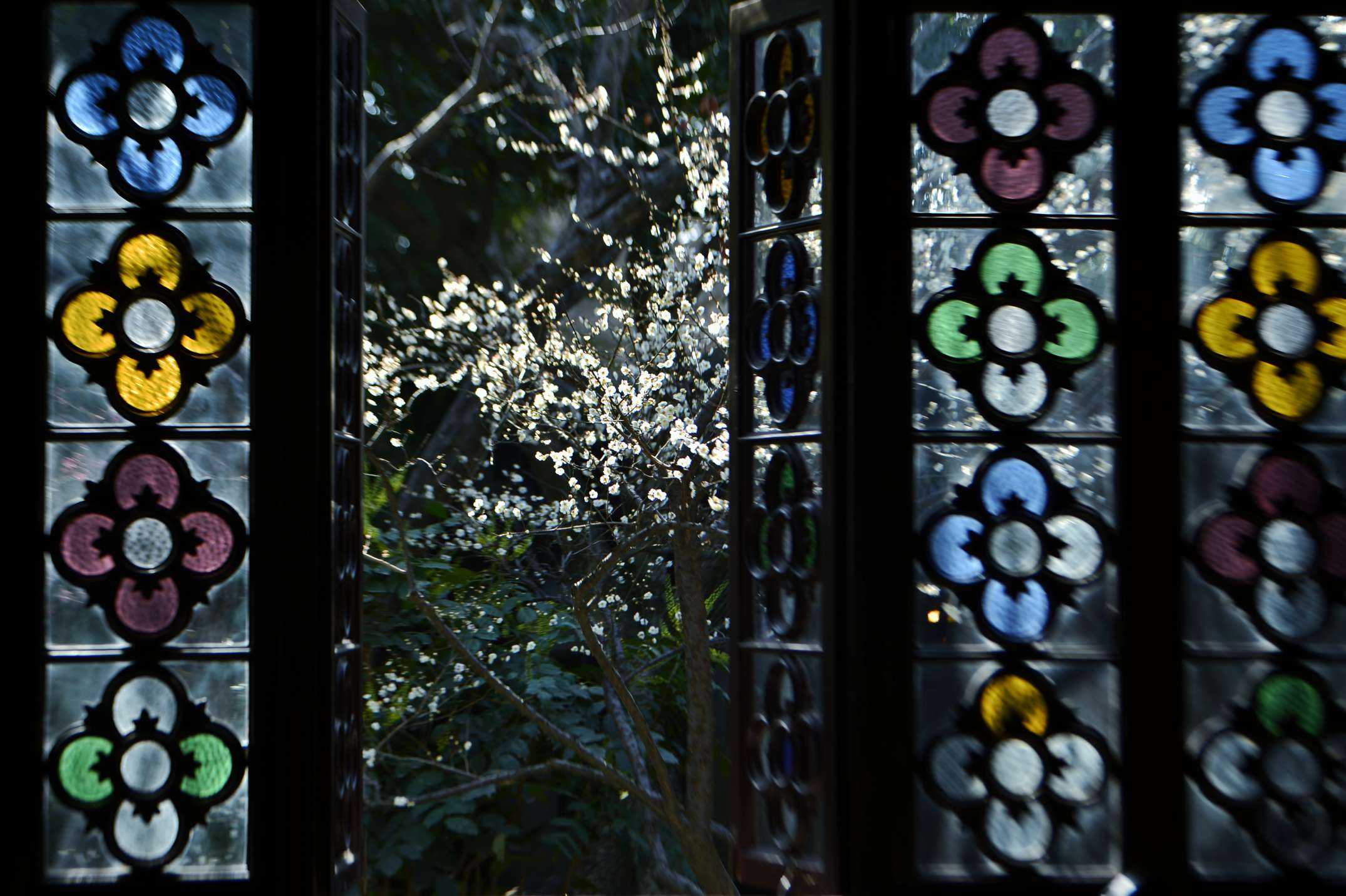 暗香疏影问梅阁