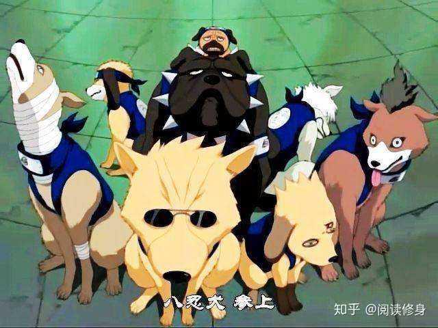 67登录加入知乎火影忍者(动画)火影忍者 疾风传(日本动画)旗木