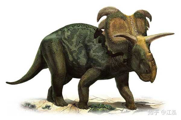 江泓 的想法: 梅杜莎角龙(medusaceratops)在2010年被正式命名,不过