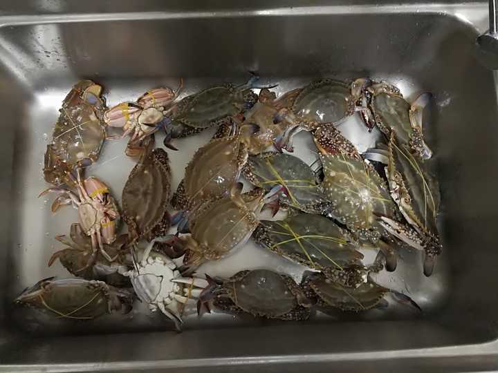 帝王蟹这种东西为什么只吃大腿 知乎 帝王蟹这种东西为什么只吃大腿 知乎