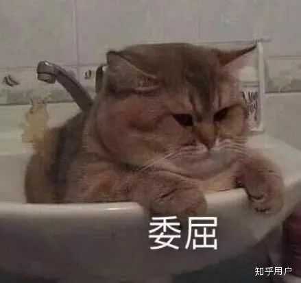 9 25出生的人 9月25日出生的名人 9 25生日的明星 9 25出生的人 9月25日出生的名人 9 25生日的明星