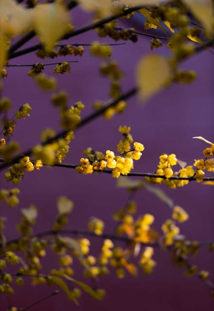 禅图片大全 禅修图片 修心禅意图片 禅图片大全 禅修图片 修心禅意图片