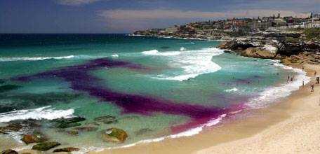 为什么说海洋中的离岸流很危险 知乎