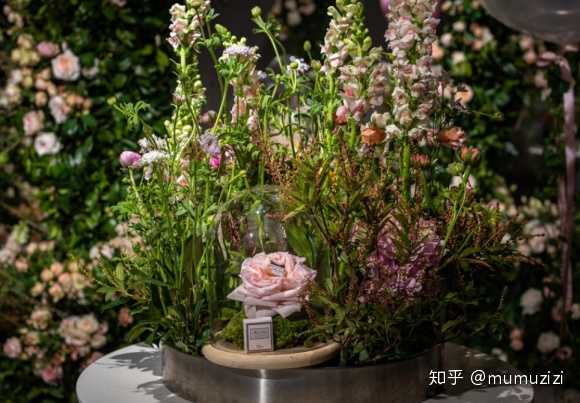 北京花艺培训哪里好 知乎 北京花艺培训哪里好 知乎