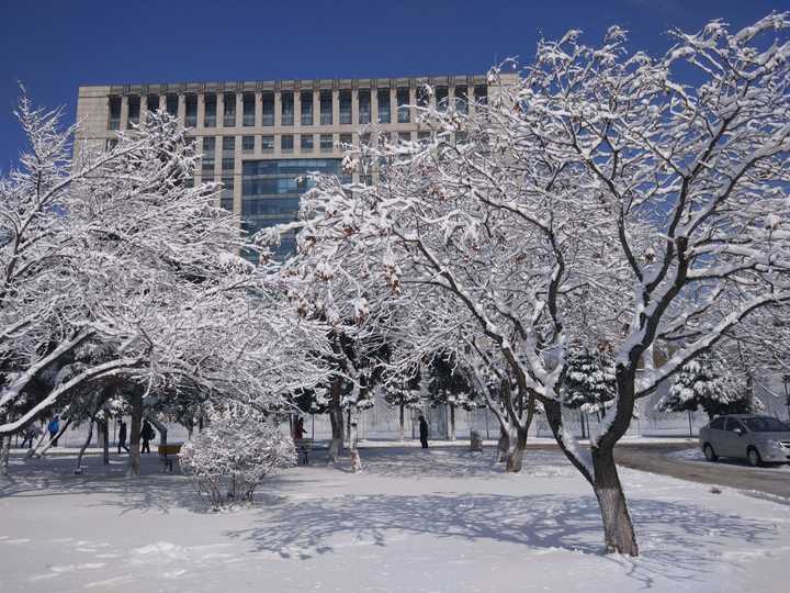 东北大学校徽主体图案白山黑水,意为长白山和黑龙江,泛指了中国东北