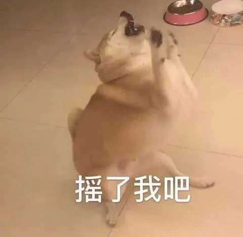 有哪些求和好的文案?