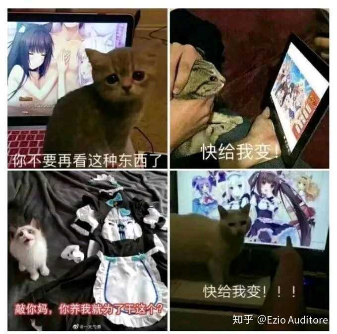 如何评价 Nekopara 系列游戏 知乎 如何评价 Nekopara 系列游戏 知乎