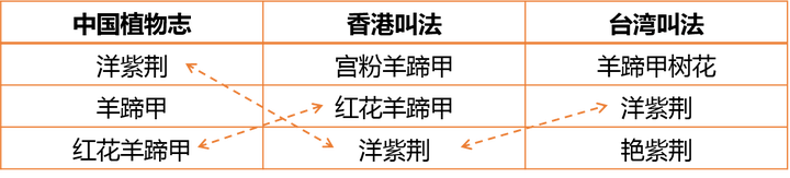 紫荆花 洋紫荆和紫荆有什么区别 知乎