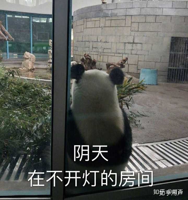 陆地上战斗力最强的动物 除去人类 是什么 知乎 陆地上战斗力最强的动物 除去人类 是什么 知乎