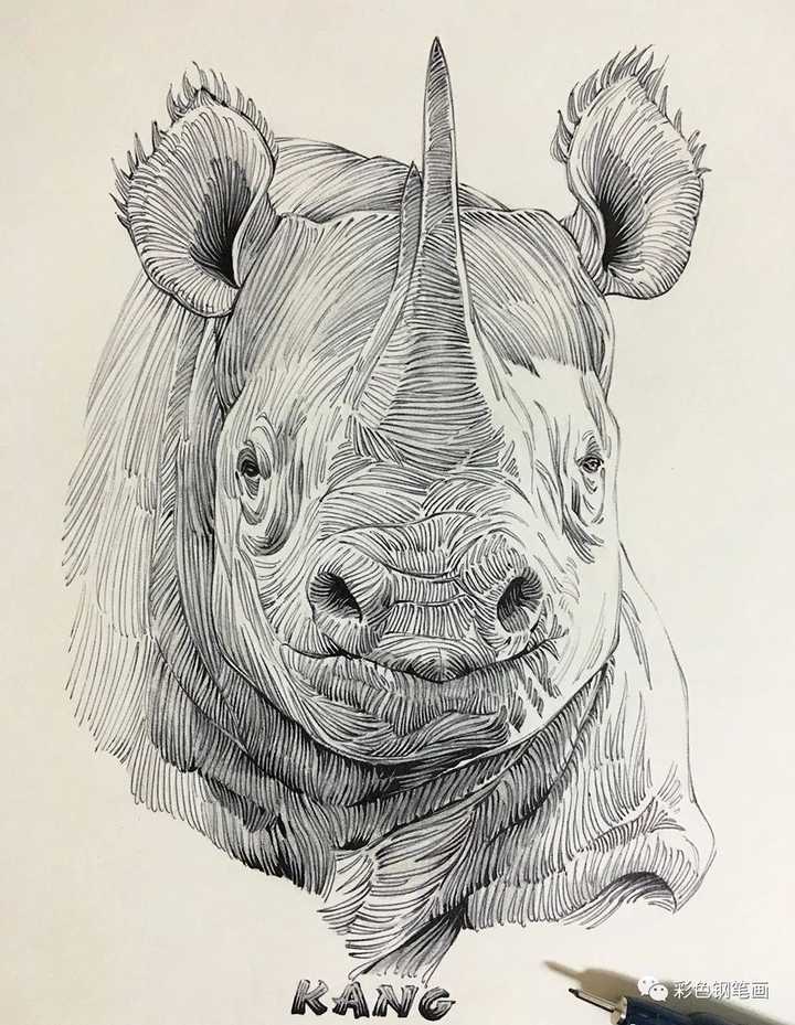 关注问题 67写回答绘画手绘绘画基础有没有这种纯线画的图?