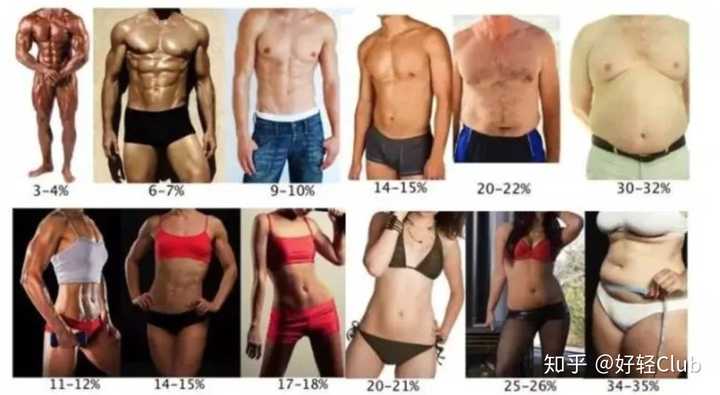 女生体脂率多少正常 知乎 女生体脂率多少正常 知乎