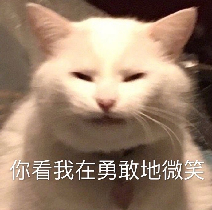 有什么可爱的文案?
