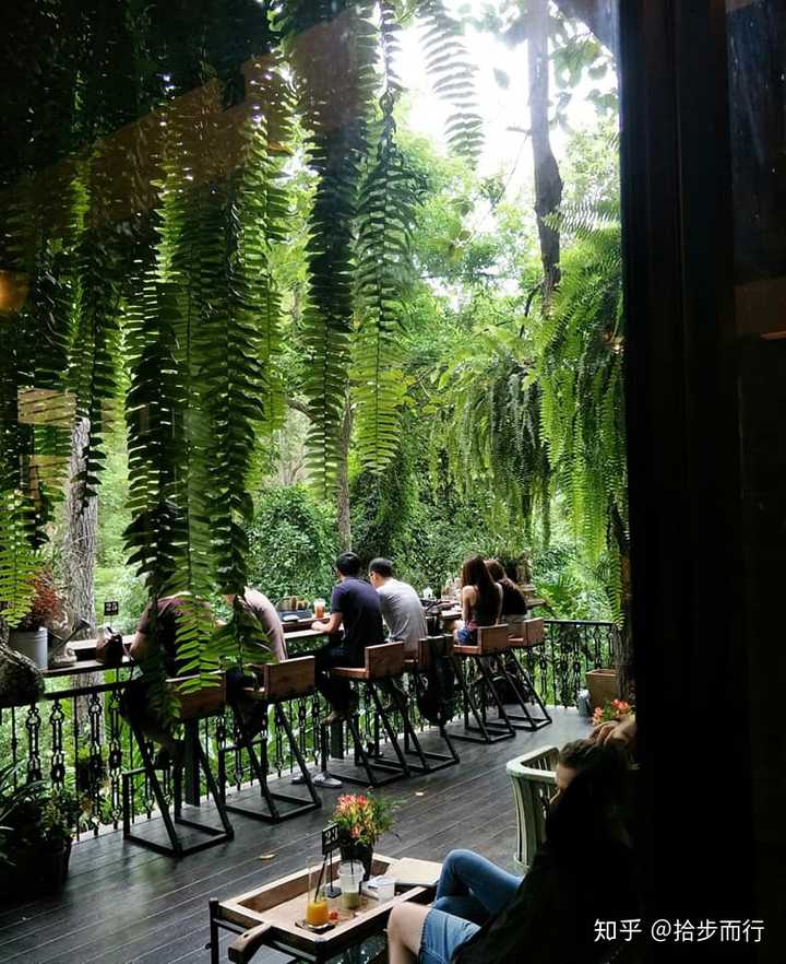 热带雨林咖啡厅