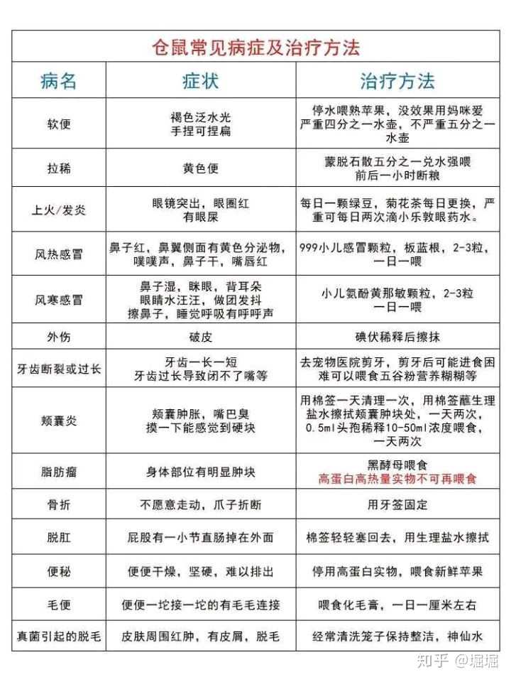 仓鼠屁股那里被糊的全是咋办
