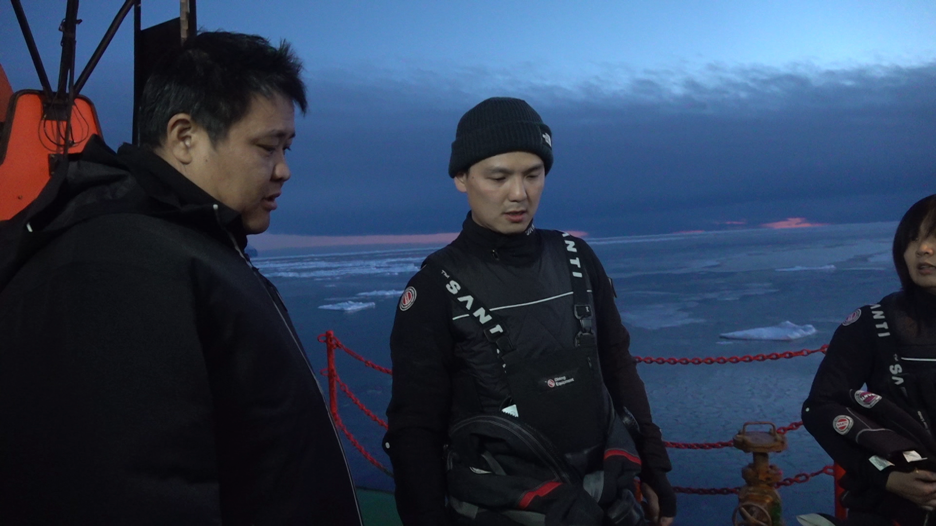 什么南极发现了新物种