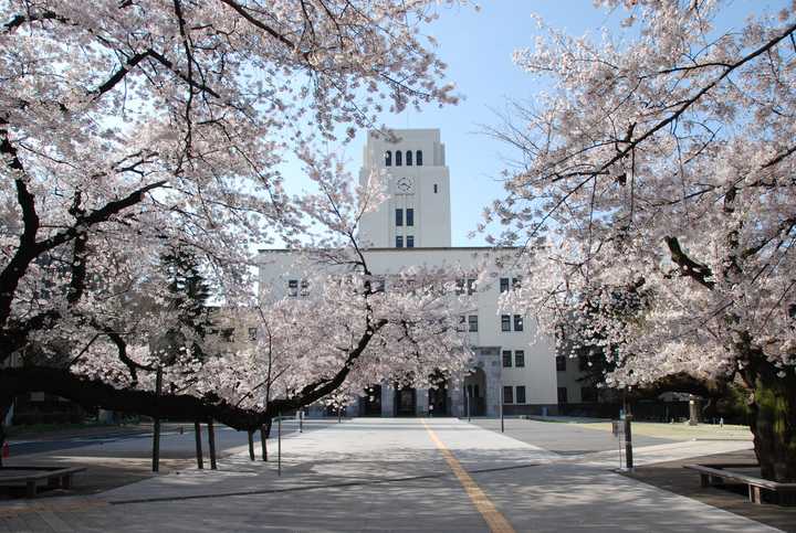 日本大学院建筑方向排名 知乎